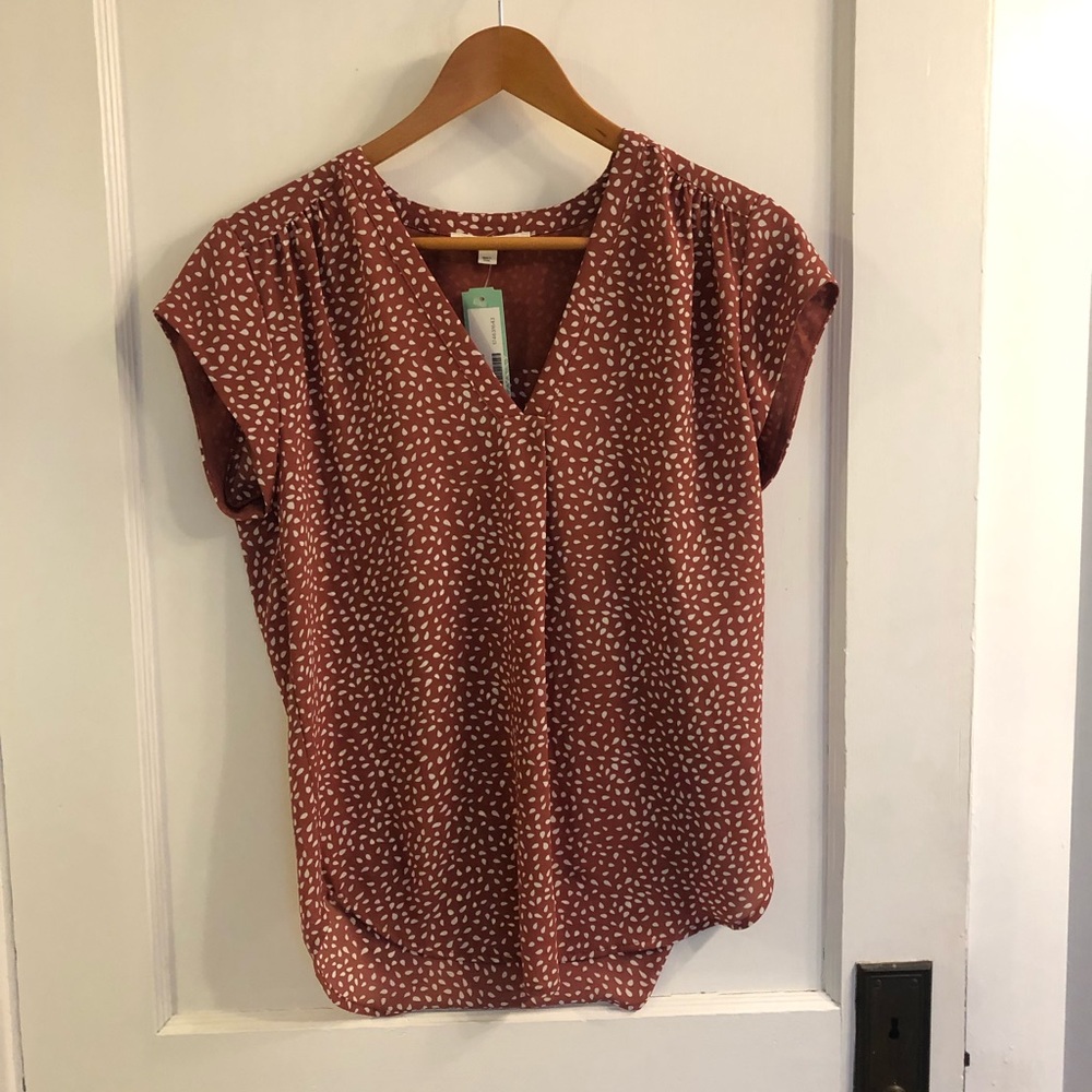 Small V Neck Blouse